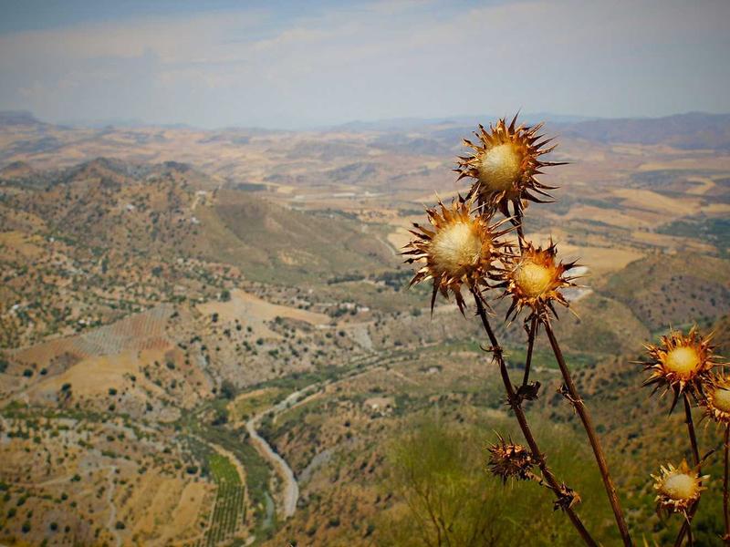 Art Gallery — image 5