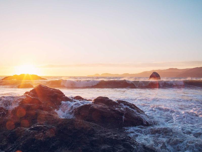 Fine Dining — image 3