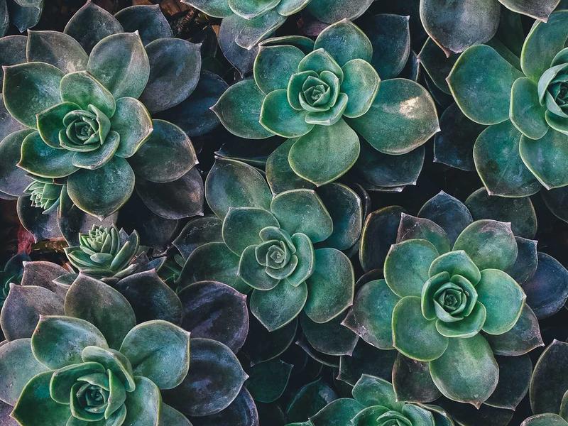 Tech Headquarters — image 2