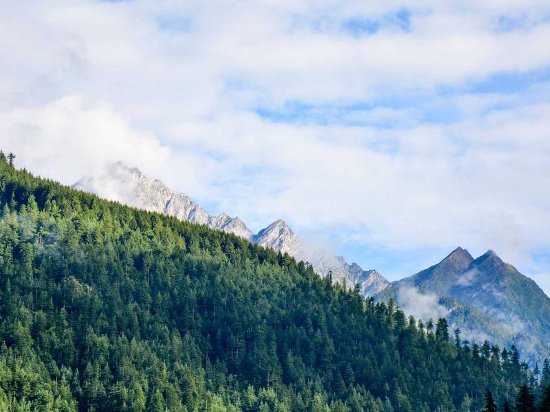 Tech Headquarters — image 5