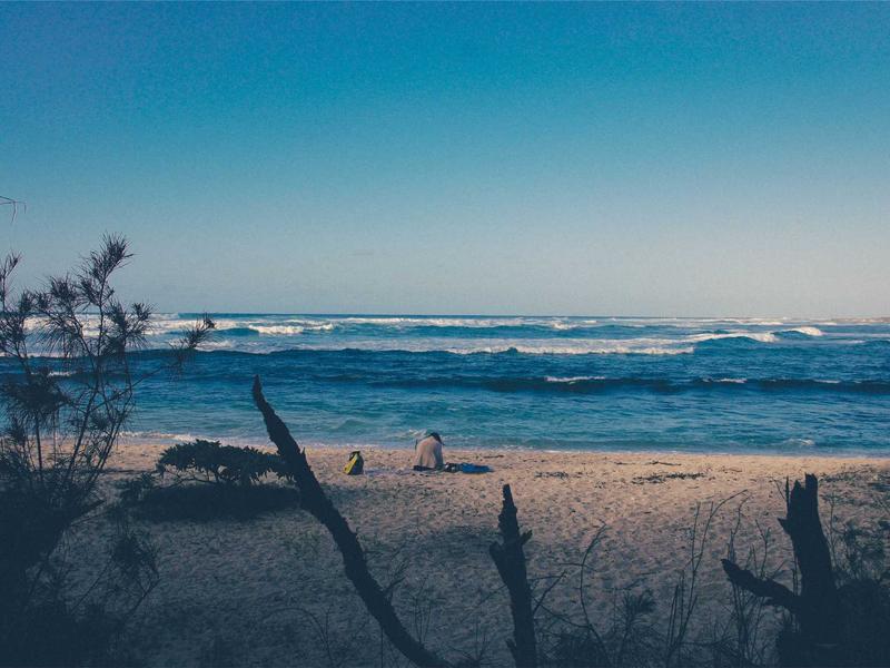 Wellness Center — image 2