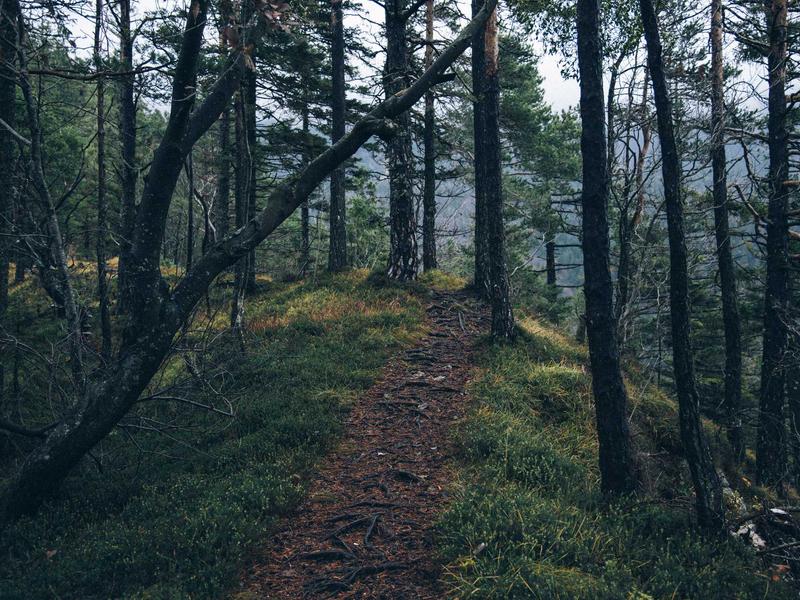 Wellness Center — image 6