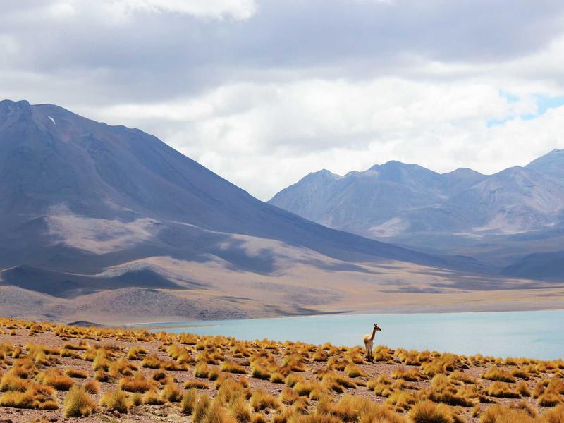 Art Apartment — image 5