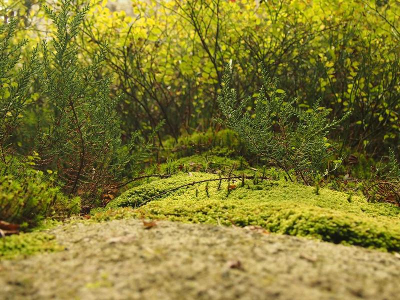 Coastal Villa — image 3