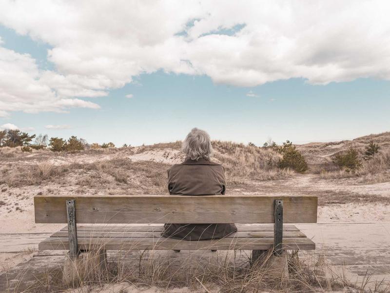 Heritage Bungalow — image 6