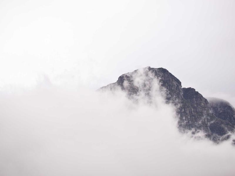 Penthouse Gardens — image 6